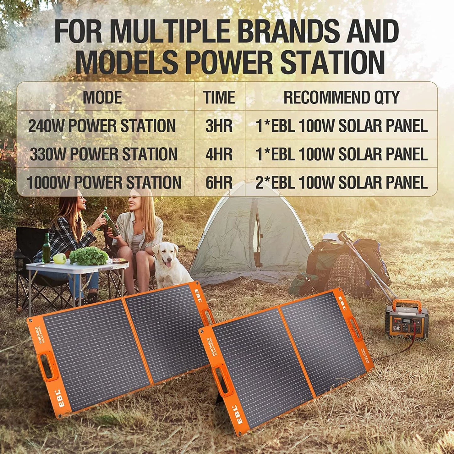 Portable Power Station, Solar Generator 1000W and 2X 100W Portable Solar Panel with 2 X AC Outlets, 3 X QC3.0 USB, and PD60W Port for Outdoor Camping