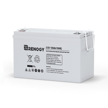 Renogy Deep Cycle AGM 12 Volt 100Ah Battery, 3% Self-Discharge Rate, 1100A Max Discharge Current, Safe Charge Appliances for RV, Camping, Cabin, Marine and Off-Grid System, Maintenance-Free