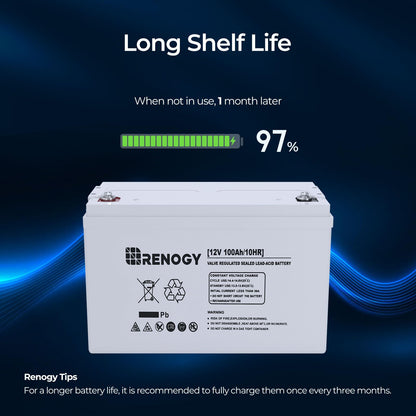 Renogy Deep Cycle AGM 12 Volt 100Ah Battery, 3% Self-Discharge Rate, 1100A Max Discharge Current, Safe Charge Appliances for RV, Camping, Cabin, Marine and Off-Grid System, Maintenance-Free