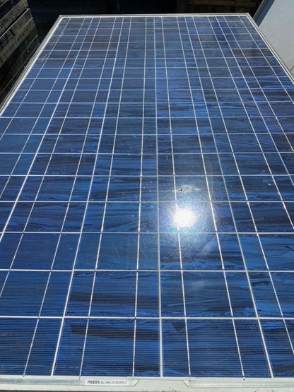 205 Watt Ever Green Solar Panels